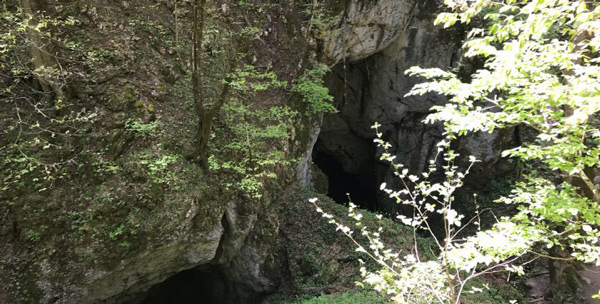 غار آویشوی