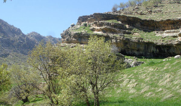 تنگهی رازیانه
